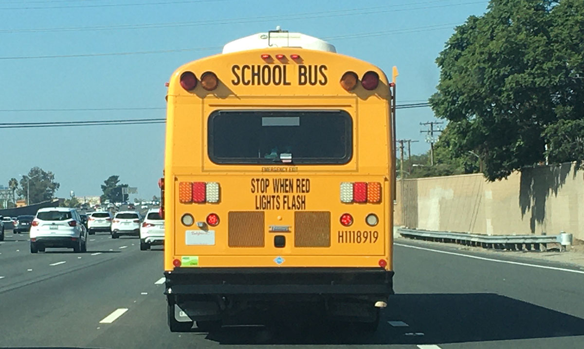 school bus rear window